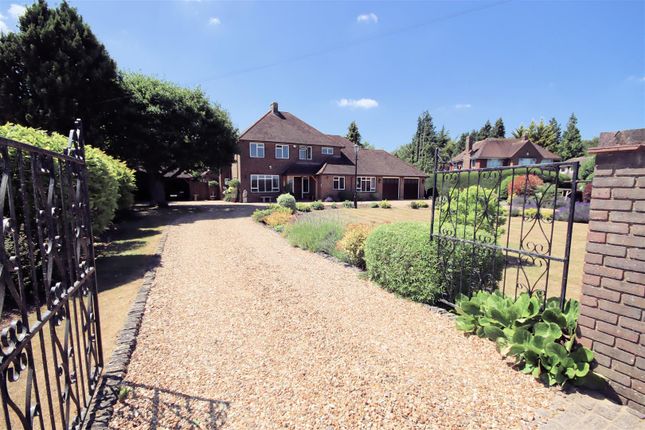 Frontage Gardens &amp; Driveway