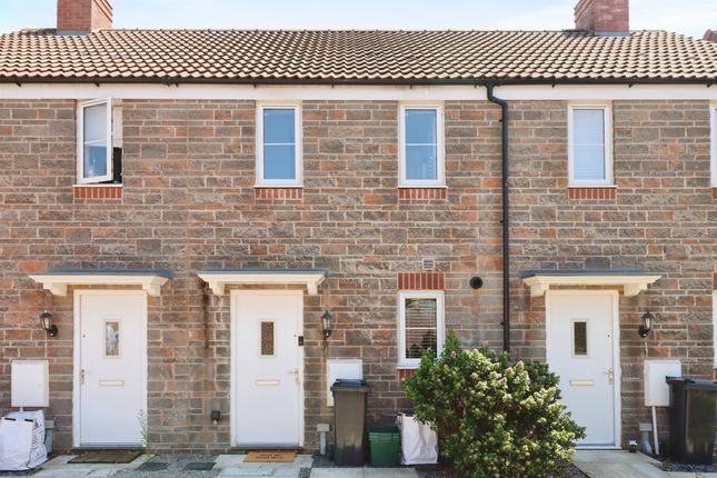 21, Fuchsia Road, Bristol photo 2