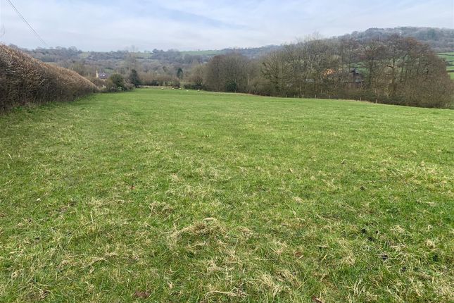 Land for sale in Beaminster