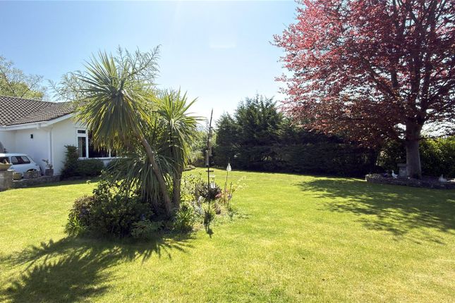 2, Brackenhill, Dorset photo 3
