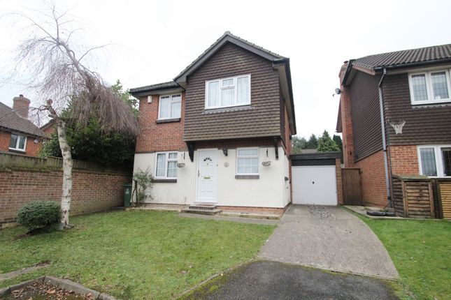 Thumbnail Detached house to rent in Amberley Close, Orpington