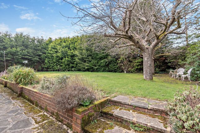 Detached bungalow for sale in The Avenue, Worplesdon, Guildford
