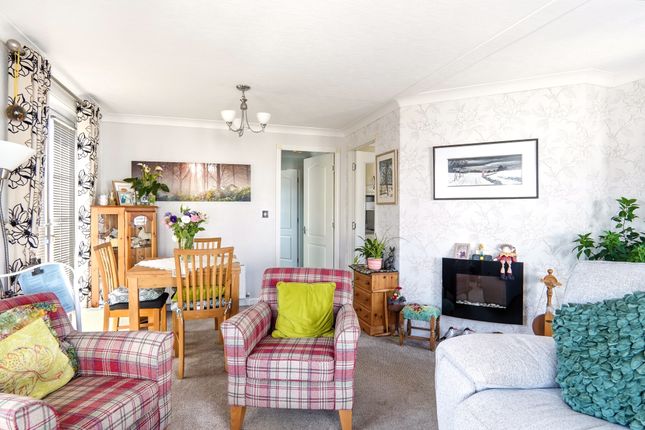 8, Beech Avenue, York photo 4