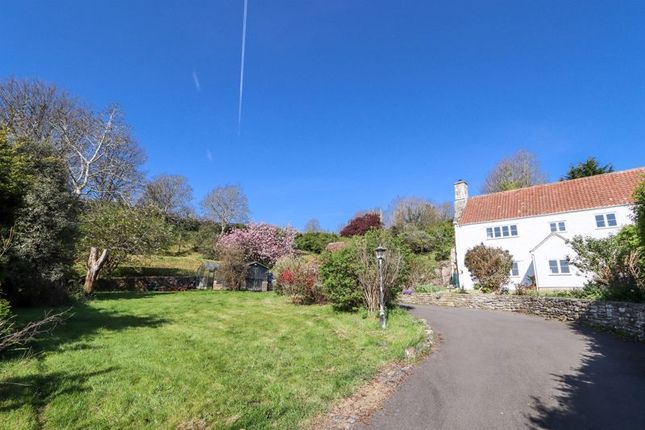 Gardens, Drive And House