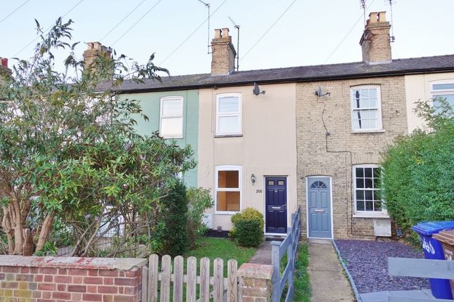 Thumbnail Terraced house to rent in Exning Road, Newmarket