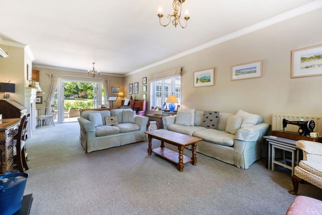 44, Kings Hill, Beech photo 3