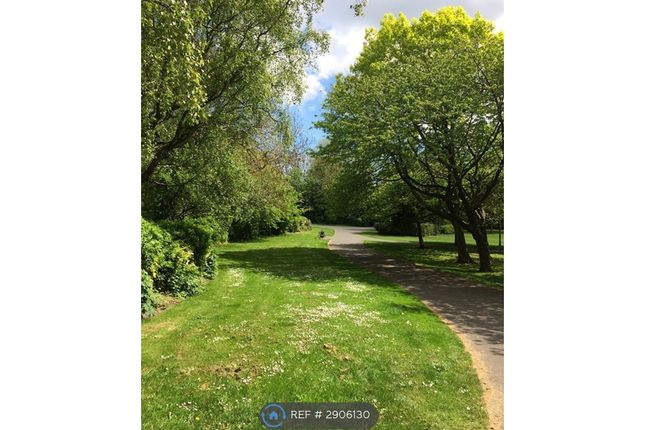 Saltwell View, Gateshead photo 5