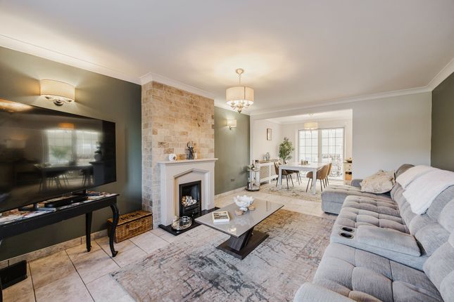 19 Dog Lane, Norwich photo 2
