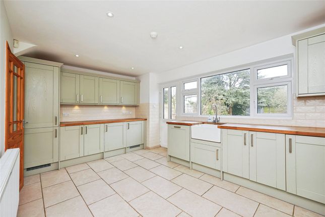 Trimmingham,, Kingsdown Hill, Deal photo 3
