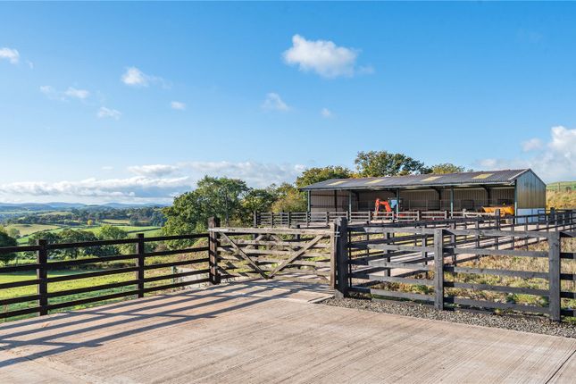 Stable &amp; View