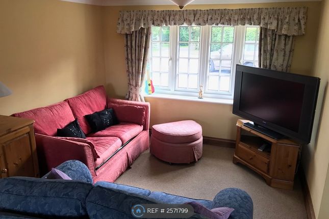 Huge Open-Plan Lounge (10m x 9m)