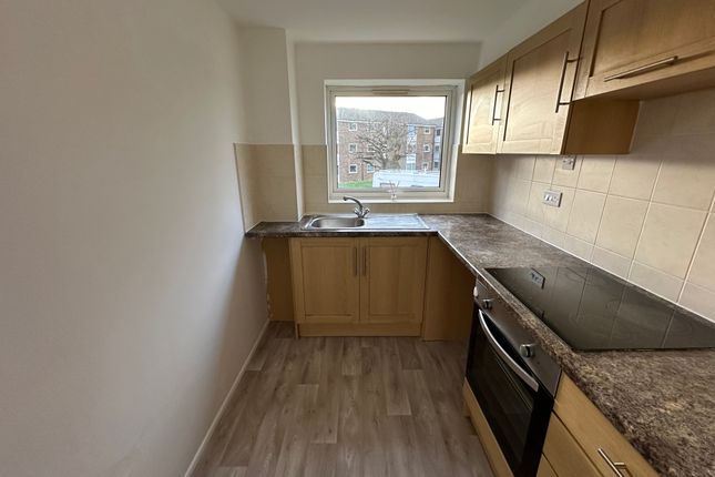 23, Lupin Drive, CHELMSFORD photo 4