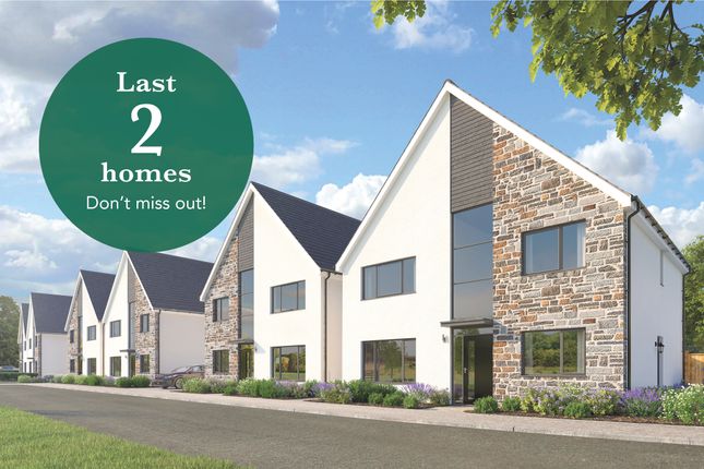 Thumbnail Detached house for sale in Herons Lea, The Ferndale, Hambrook, Bristol