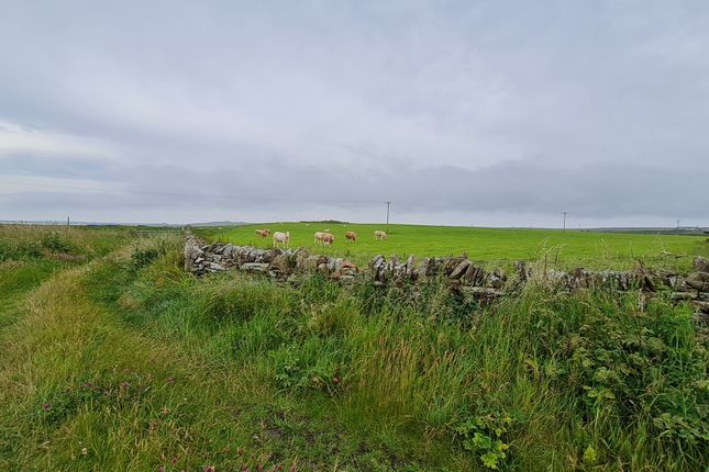Land for sale in Whitehall, Stronsay, Orkney