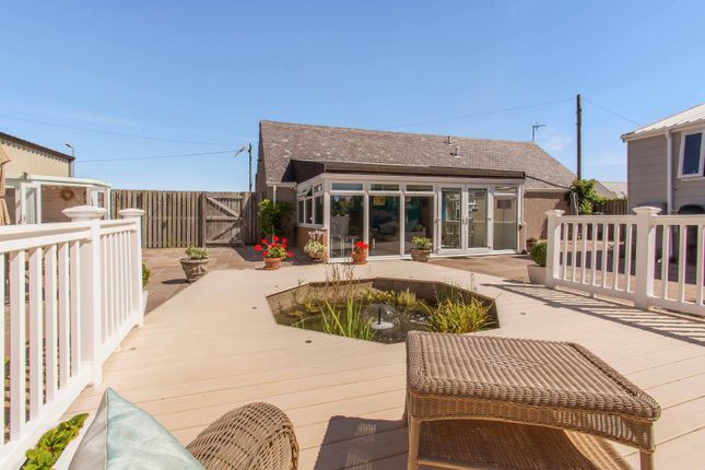Thumbnail Detached bungalow for sale in Inchbare, Brechin, Angus