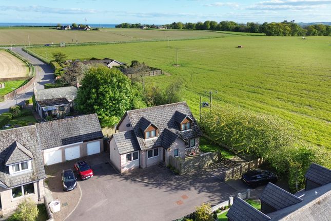 3 The Lochans , Lochside, St Cyrus photo 3