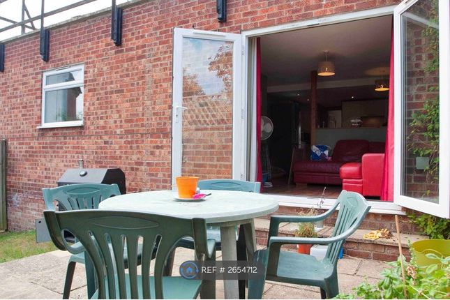 Rear Patio / Garden