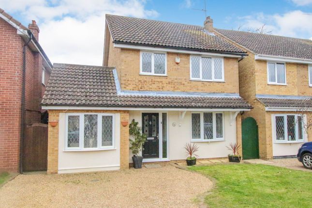 Thumbnail Detached house for sale in Lapwing Drive, Heybridge