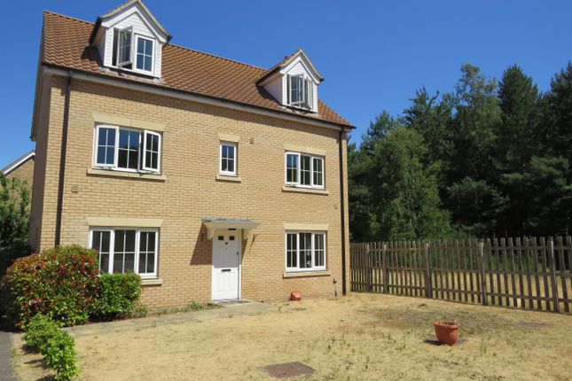 Property to rent in Evergreen Way, Mildenhall, Bury St Edmunds
