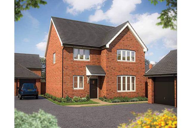 Thumbnail Detached house for sale in "Violet" at Shorthorn Drive, Whitehouse, Milton Keynes