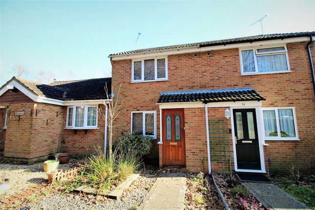 Terraced house to rent in Holly Drive, Waterlooville