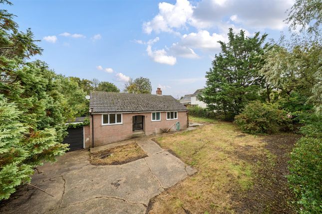 Thumbnail Detached bungalow for sale in Belchalwell, Blandford Forum