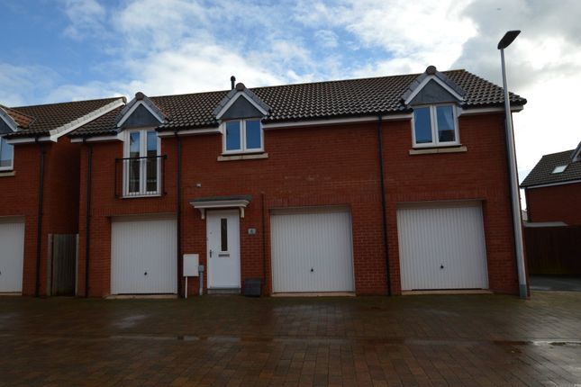 Thumbnail Detached house to rent in Nile Road, Exeter, Devon