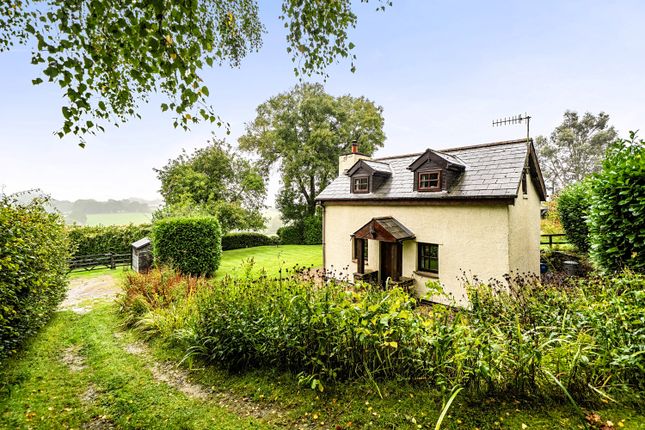 FOREST HOUSE, Coedypaen, Pontypool photo 3