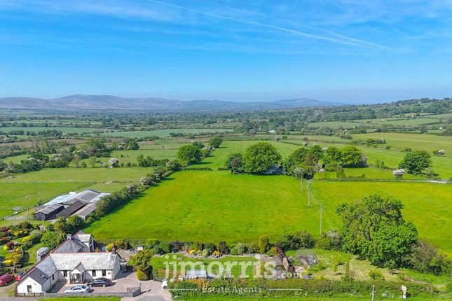 Tanyffynnon, Boncath photo 4