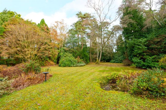 Detached house for sale in Kingswood Firs, Grayshott, Surrey