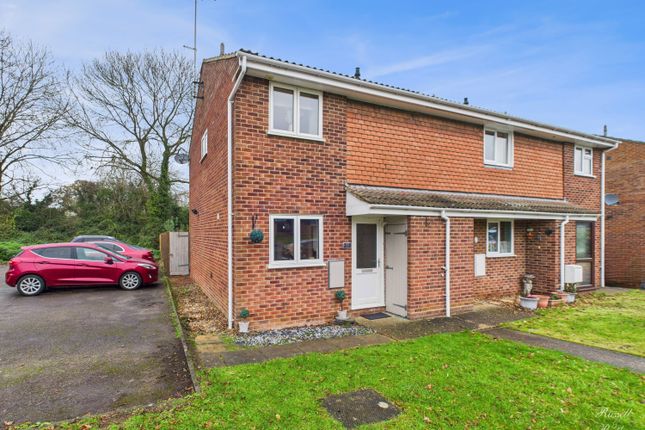 Cam01995G0-Pr0388-Still012