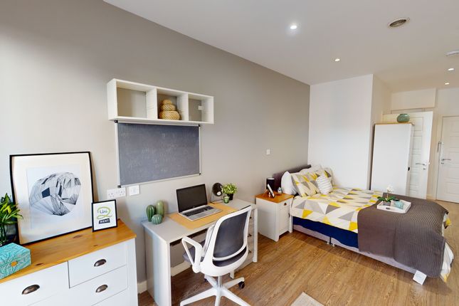 Studio Room