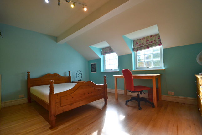 Untitled Design (13)