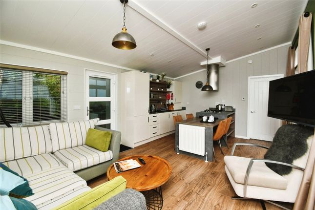 Dinas Vista, Plot 44, Fishguard Bay Resort, Pembrokeshire photo 2