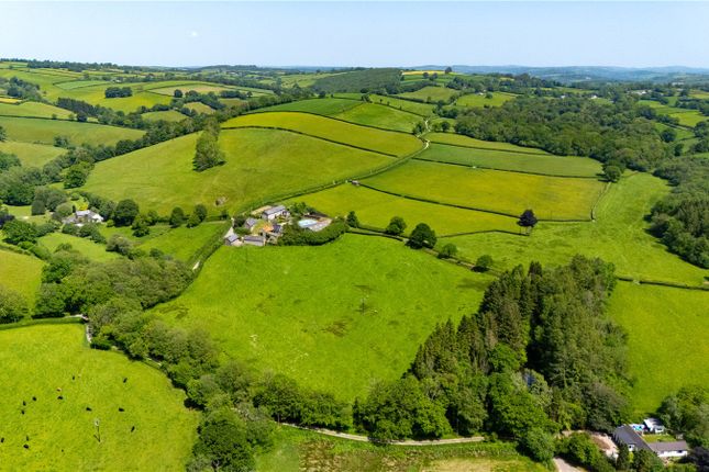 Dunsley Farm,, West Anstey, Devon photo 2