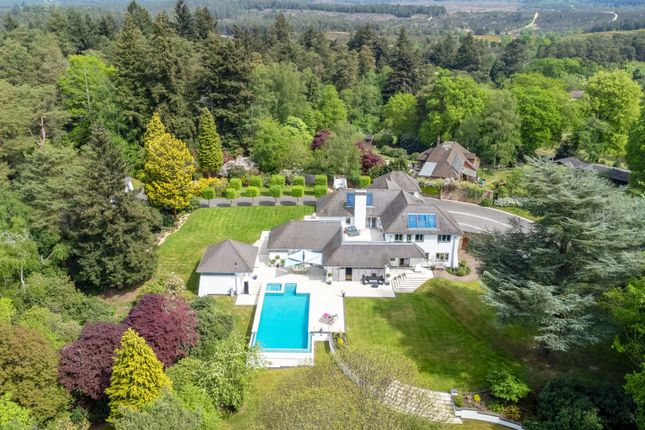 Birds Eye View