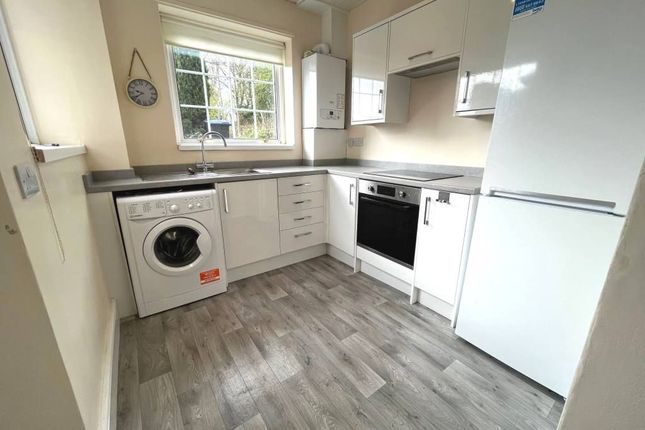 Terraced house to rent in Prospect Street, Chester Le Street
