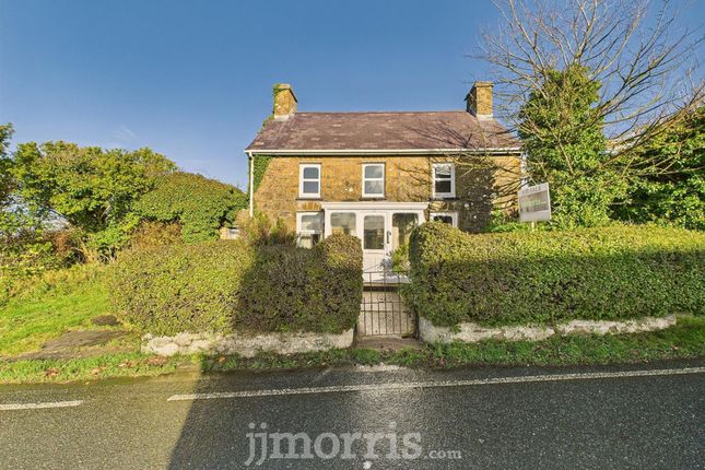 Llwyncelyn, Cardigan photo 2