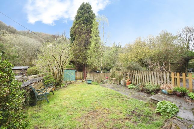 Laburnum, Cwmavon, Pontypool photo 2