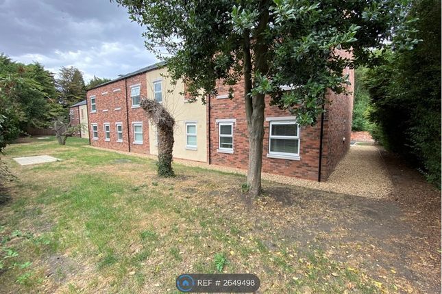 Rear Garden Area