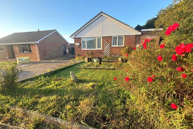 Harry Cheek Gardens, Cowes photo 2