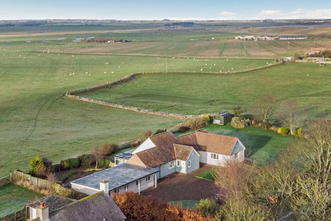 Detached house for sale in The Willows, Newton-By-The-Sea, Alnwick, Northumberland