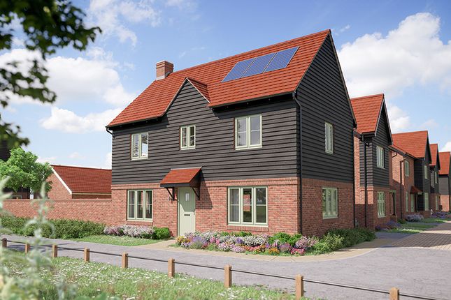 Ds12110 [Bh] Spruce X307 Plot 1,5_Web