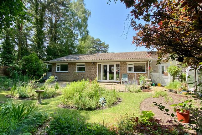 17 Craigside Road, St. Leonards, Ringwood photo 3