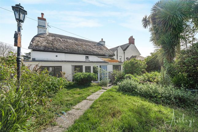 Rose Cottage, Swansea photo 4
