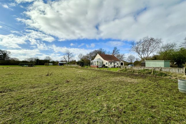 Detached bungalow for sale in The Holmes, East Ruston, Norwich