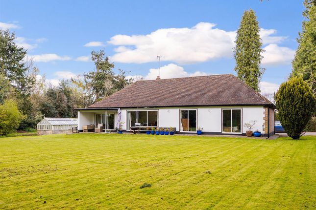 Thumbnail Detached bungalow to rent in Dorking Road, Walton On The Hill, Tadworth