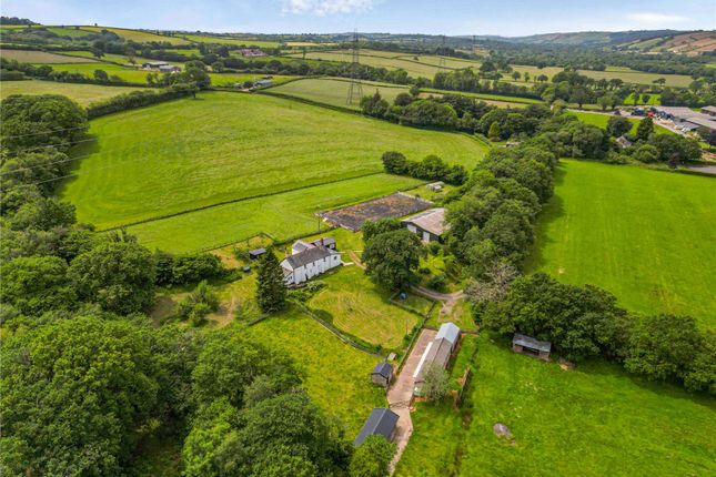 Lands Farm,, West Anstey, Devon photo 4