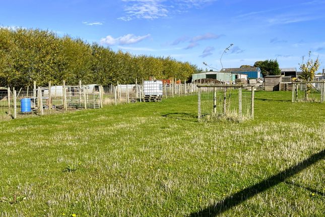 Winford, Dockings Holt, Spalding photo 4