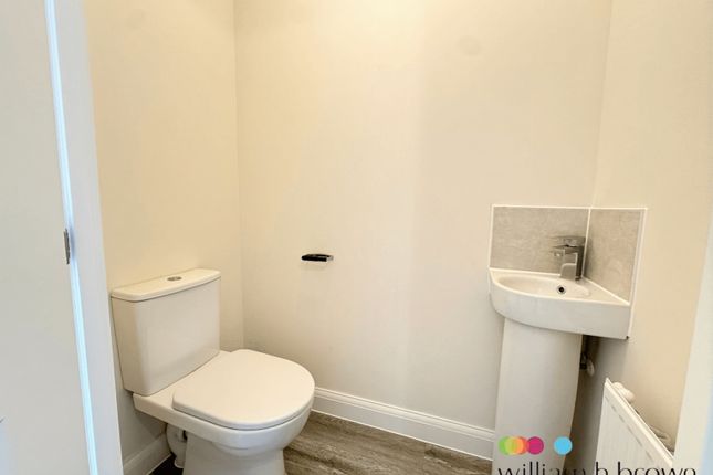11, Lamb Lane, NORWICH photo 4
